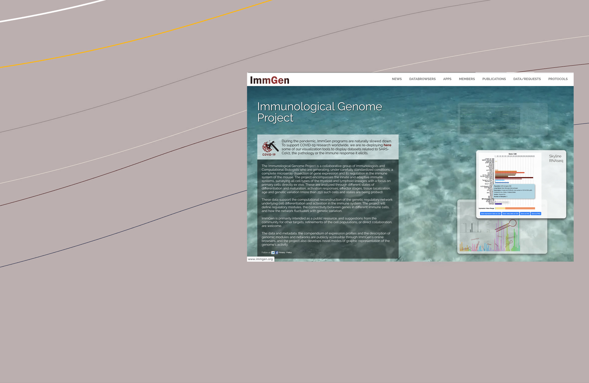 web3