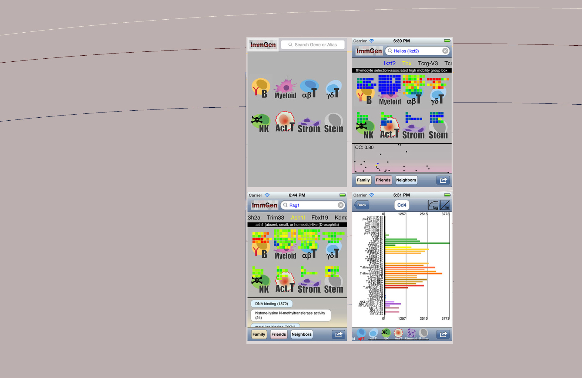Web4
