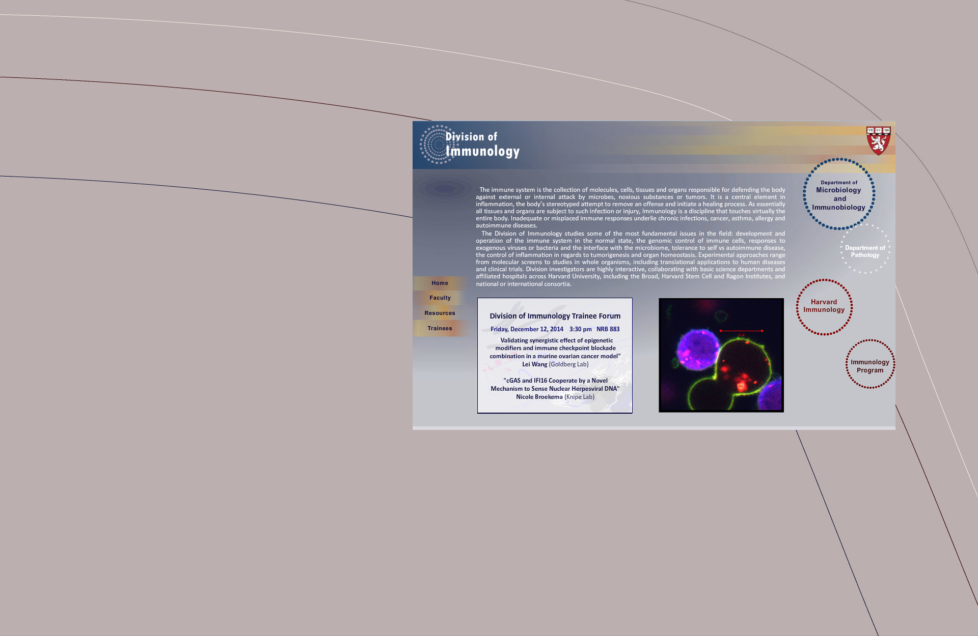 web5