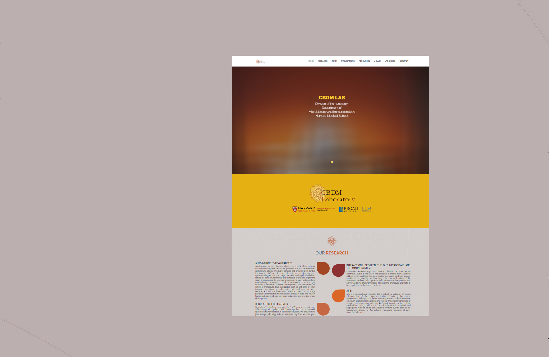 Web8